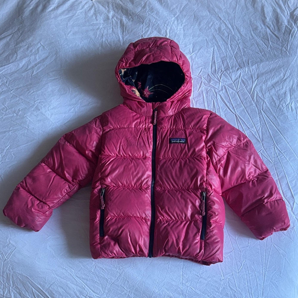 Patagonia Hooded Puffer Jacket